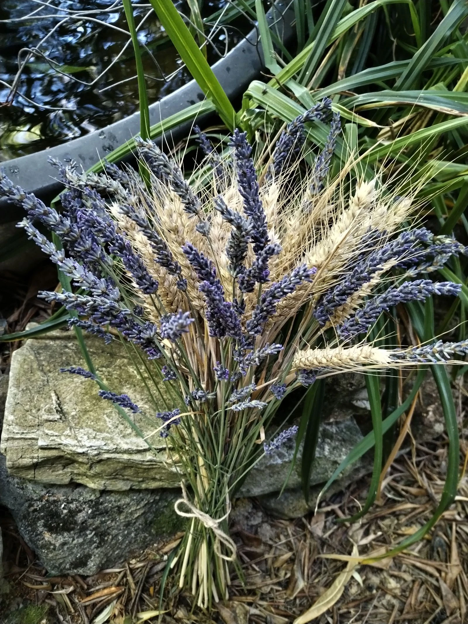 Bonito ramo de flores secas rústicas, espigas de trigo y lavandas azules de mi jardín natural. – photo 2